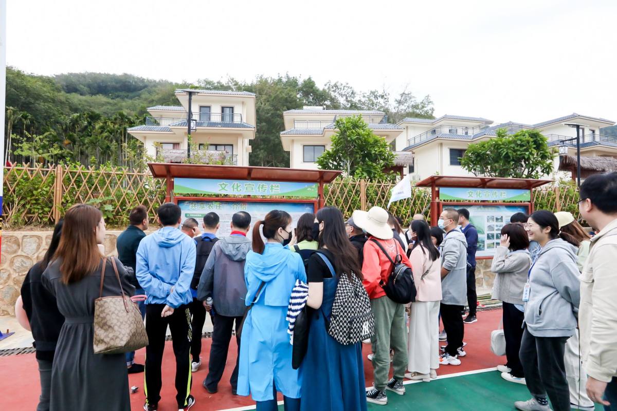 海南網媒行|采訪團走進保亭雅布倫?享水谷共享農莊： 感受鄉村美麗“蝶變” 共享鄉村振興成果